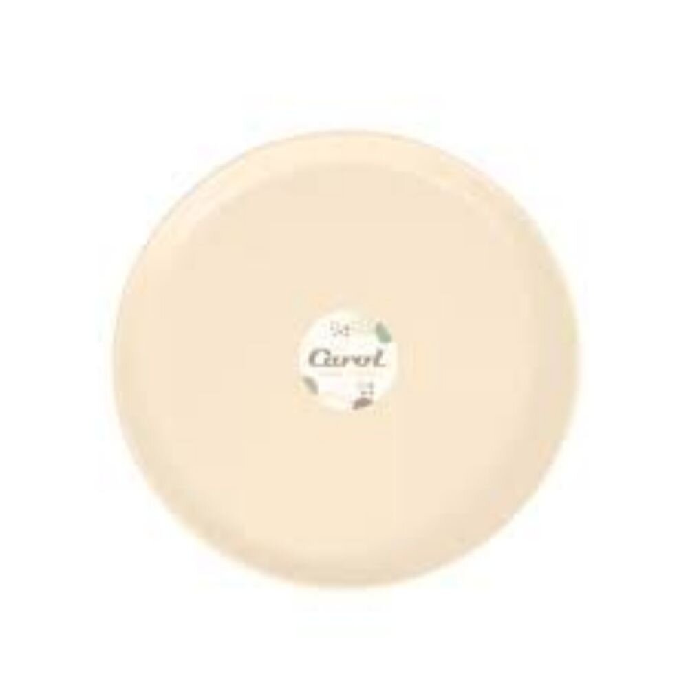 Imágen principal de 6236 - PLATO PLASTICO D. 20,5 CM *TIZA (CAR. 363 FTI) PLATO PLASTICO D. 20,5 CM *TIZA (CAR. 363 FTI) - Imagen 1