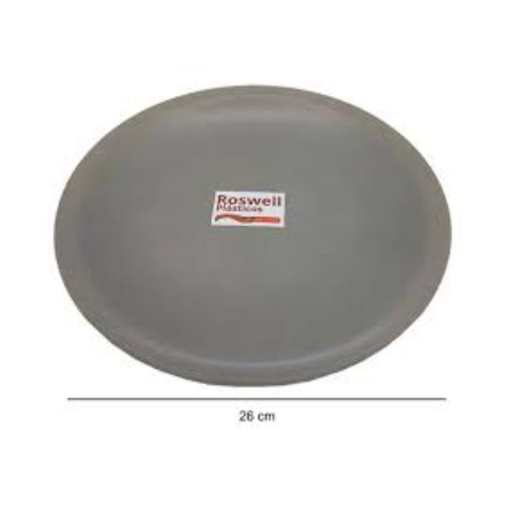 Imágen principal de 6699 - PLATO PLAYO PLAST. 26 CM CEMENTO ROSWELL (CR.7673084) PLATO PLAYO PLAST. 26 CM CEMENTO ROSWELL (CR.7673084) - Imagen 1