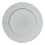 PLATO PLAYO ALA ANCHA 27 CM BARALEE  (091051A)
