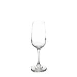 COPA CHAMPAGNE TRENTINO 247 CC (5481)