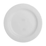 PLATO POSTRE EVOLUTION        (63377)