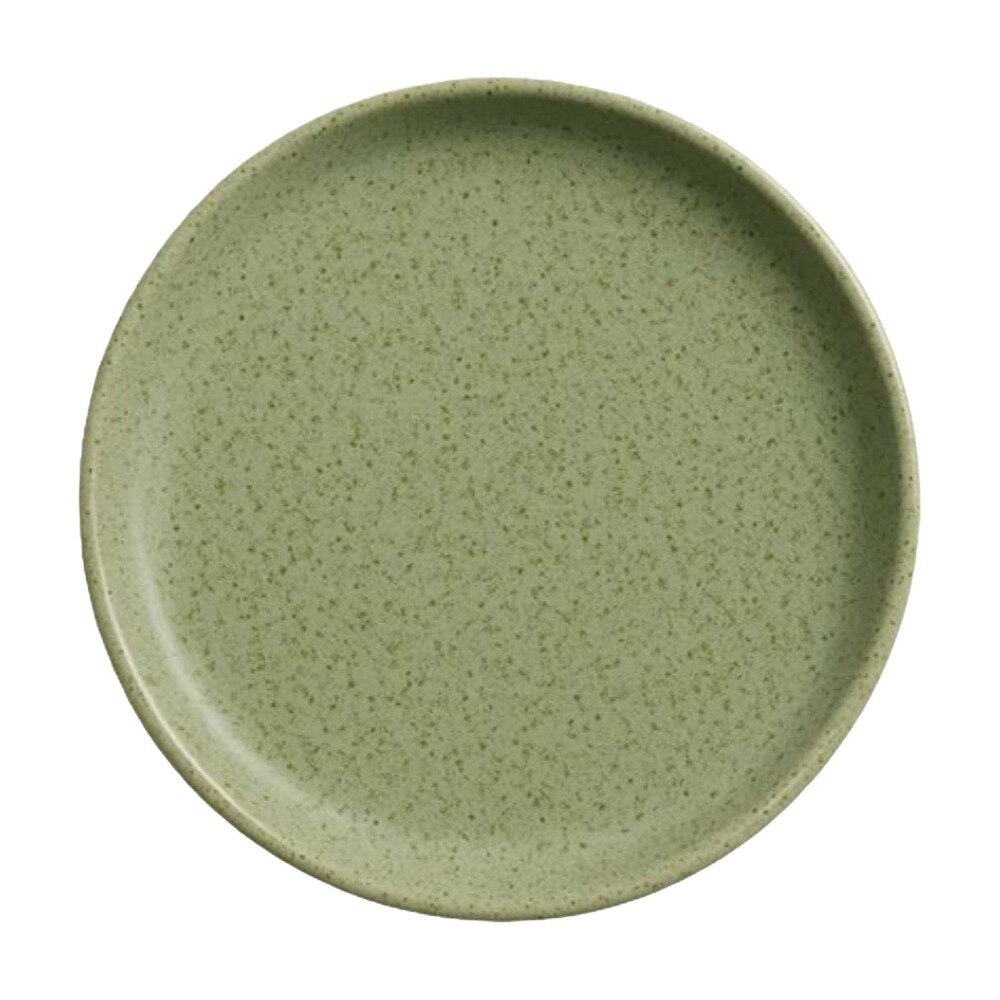 Imágen principal de 3552 - PLATO POSTRE 20 CM MENTA JASPEADO (10603501) PLATO POSTRE 20 CM MENTA JASPEADO (10603501) - Imagen 1