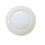PLATO PLAYO 'ALA ANCHA' 27 CM TSUJI